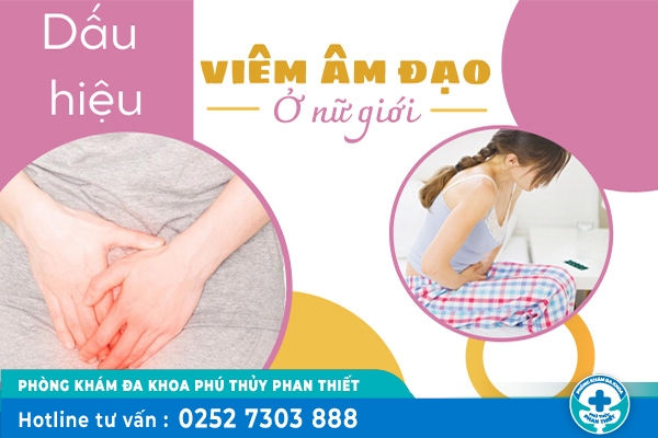 Những dấu hiệu viêm âm đạo mà nữ giới nên cẩn trọng cảnh giác